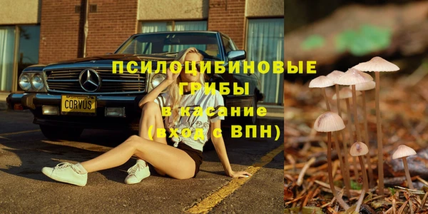 каннабис Аркадак