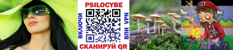 закладки  Струнино  blacksprut онион  Галлюциногенные грибы Psilocybine cubensis 